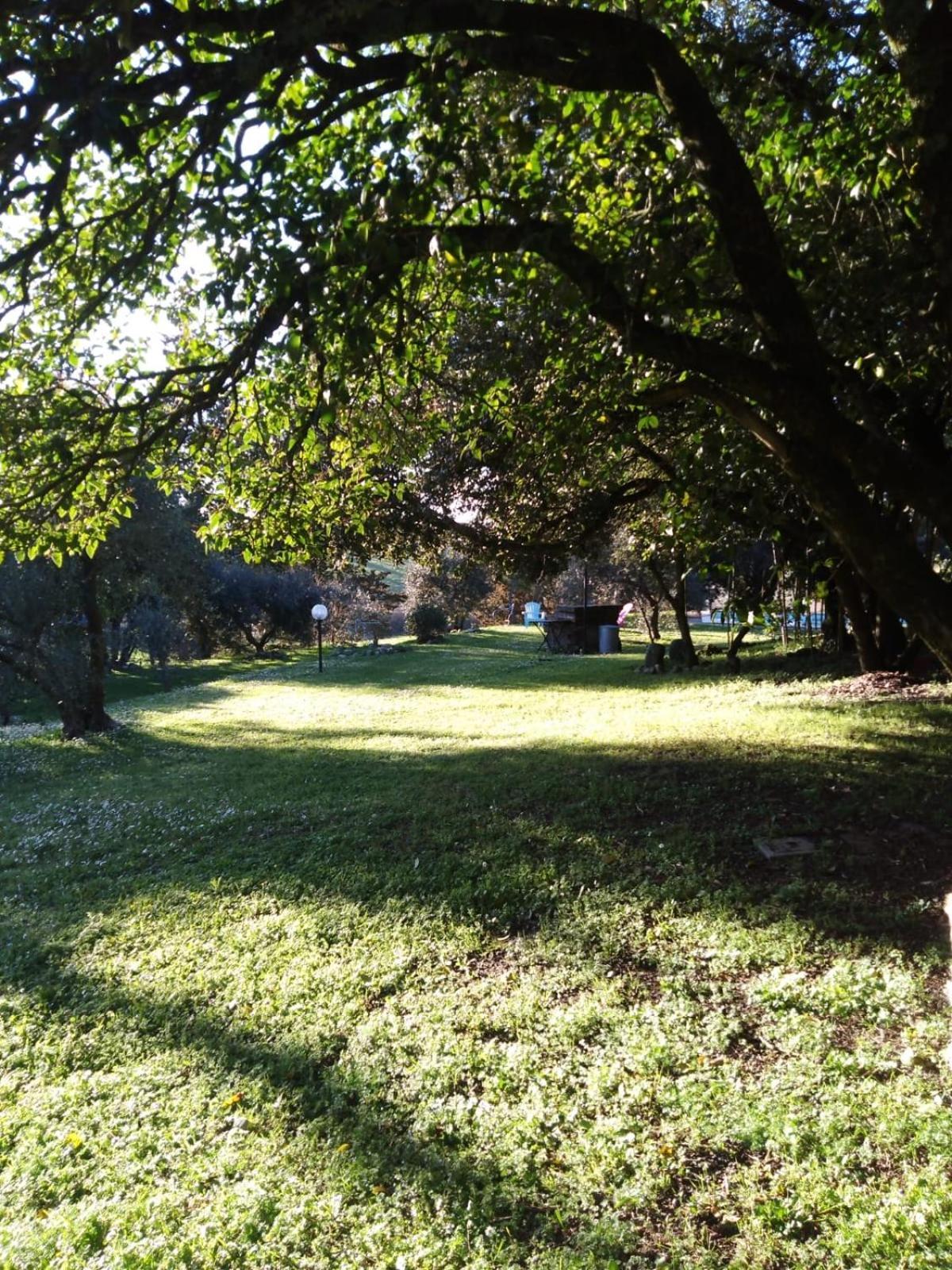 Agriturismo La Torre Di Monsindoli Siena Dış mekan fotoğraf