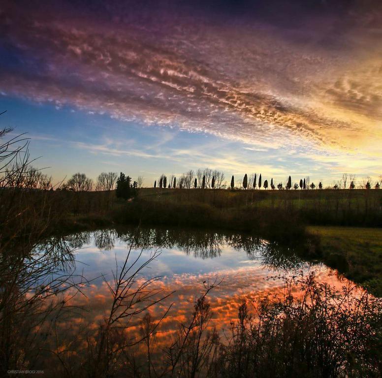 Agriturismo La Torre Di Monsindoli Siena Dış mekan fotoğraf